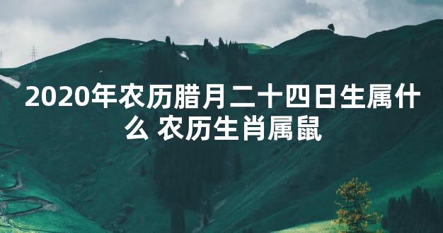 2020年农历腊月二十四日生属什么 农历生肖属鼠